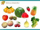 五年级下册综合实践活动课件- 水果拼盘｜长春版