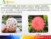 纸雕花球ppt