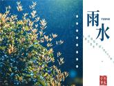 二十四节气班会之雨水课件PPT