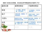 沪科黔科版综合实践四上 3.2蔬菜保鲜揭秘 课件