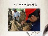 沪科黔科版综合实践四上 7.1一次性筷子使用情况调查 课件