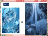 鲁科版综合实践活动五上 2.1《家庭用水小调查》课件+教案