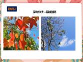 深圳版综合实践活动指引三年级 第4单元 我笔下的秋天 课件+教案