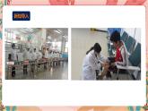 深圳版综合实践活动指引三年级 第1单元 认识校园服务 课件+教案+音频素材