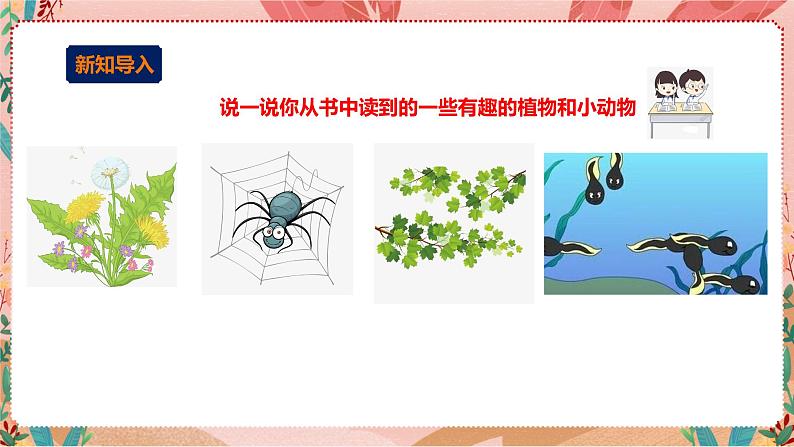 深圳版综合实践活动指引四年级《探秘课文中的小生灵》第1单元 课件第2页