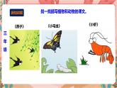 深圳版综合实践活动指引四年级 第一单元“藏 在课文中的小生灵 课件+教案