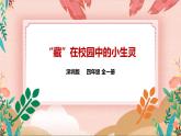 深圳版综合实践活动指引四年级 第二单元“藏” 在校园中的小生灵 课件+教案