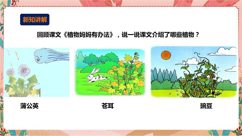 深圳版综合实践活动指引四年级《探秘课文中的小生灵》第2单元 课件第3页