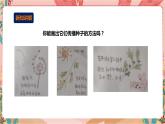 深圳版综合实践活动指引四年级 第二单元“藏” 在校园中的小生灵 课件+教案