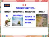 深圳版综合实践活动指引四年级 第二单元“藏” 在校园中的小生灵 课件+教案