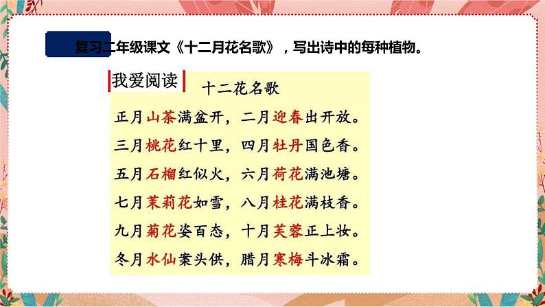 深圳版综合实践活动指引四年级《探秘课文中的小生灵》第2单元 课件第8页