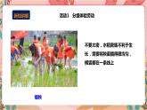 深圳版综合实践活动指引四年级 第二单元 田间劳动真辛苦 课件+教案