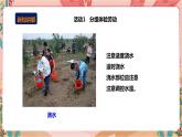 深圳版综合实践活动指引四年级 第二单元 田间劳动真辛苦 课件+教案