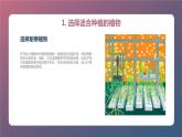 沪科黔科版五年级上册综合实践活动 活动一 花坛小暖棚（课件）