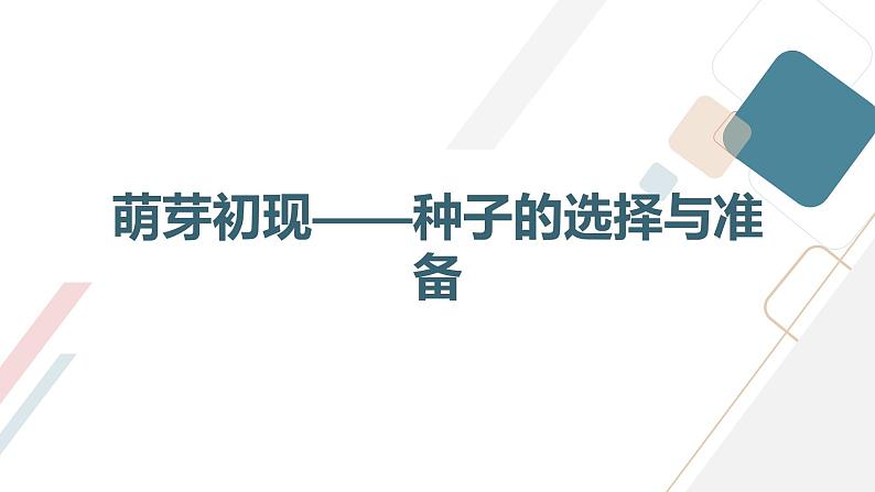 沪科黔科版五年级上册综合实践活动 活动二 不用土的栽培术（课件）03