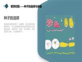 沪科黔科版五年级上册综合实践活动 活动二 不用土的栽培术（课件）