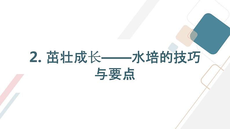 沪科黔科版五年级上册综合实践活动 活动二 不用土的栽培术（课件）08