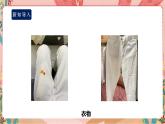 鲁科版综合实践活动五上 1.3《巧除污渍》课件+教案