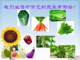 四年级上册综合实践活动课件-3.1自己种菜乐趣多 ∣ 沪科黔科版
