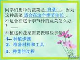 四年级上册综合实践活动课件-3.1自己种菜乐趣多 ∣ 沪科黔科版