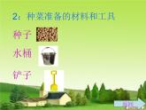 四年级上册综合实践活动课件-3.1自己种菜乐趣多 ∣ 沪科黔科版