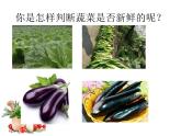 四年级上册综合实践活动课件-3.2蔬菜保鲜揭秘 ∣ 沪科黔科版