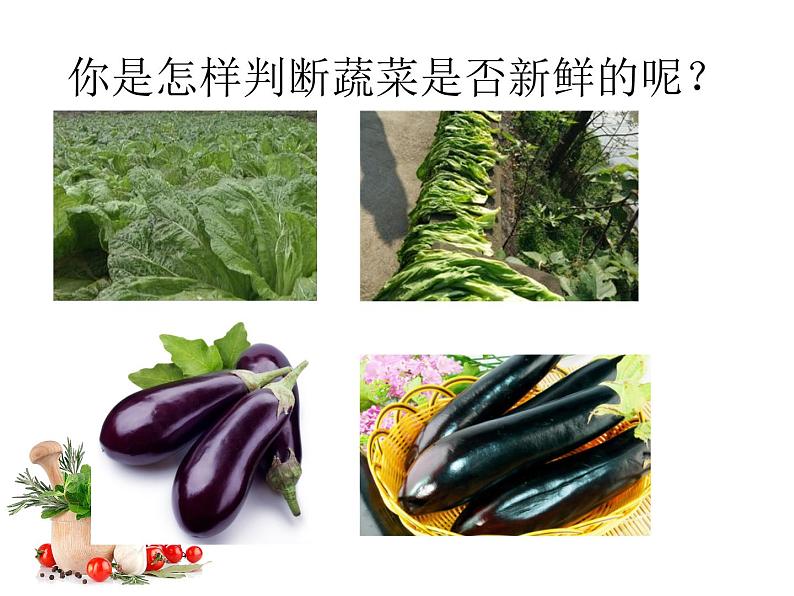 四年级上册综合实践活动课件-3.2蔬菜保鲜揭秘 ∣ 沪科黔科版第2页