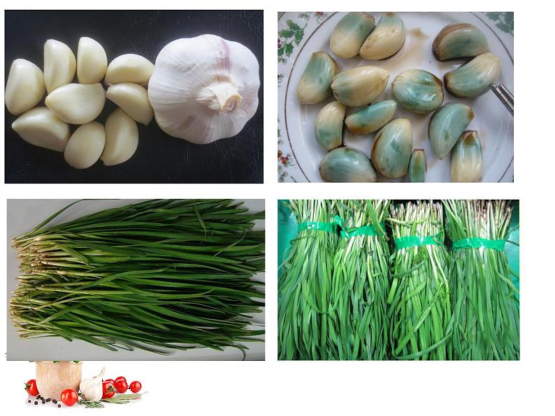 四年级上册综合实践活动课件-3.2蔬菜保鲜揭秘 ∣ 沪科黔科版第3页