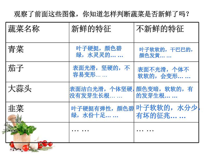 四年级上册综合实践活动课件-3.2蔬菜保鲜揭秘 ∣ 沪科黔科版第4页