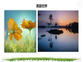 【综合实践】第三单元主题活动二《镜头下的美丽世界》课件+教案
