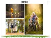 【综合实践】第三单元主题活动二《镜头下的美丽世界》课件+教案