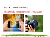 【综合实践】第三单元主题活动二《镜头下的美丽世界》课件+教案