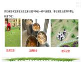 【综合实践】第四单元主题活动二《我为集体献一计》课件+教案
