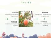 绿色简约小清新风二十四节气霜降习俗文化介绍课件PPT