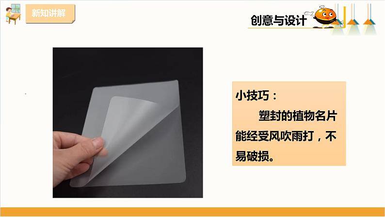 粤教版三年级下册综合实践活动第一单元《我的植物“邻居”》第二课时  课件第7页