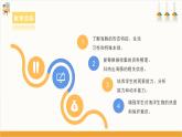 【沪科·黔科版】五上综合实践  《海豚小档案》课件+教案+素材