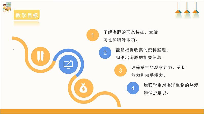 海豚小档案 课件第3页