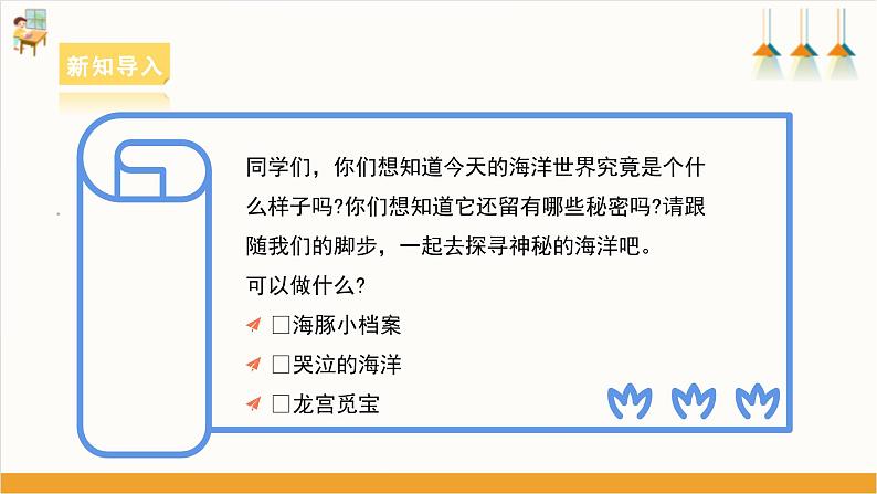 海豚小档案 课件第6页