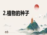 [皖教版]三年级上册综合实践活动第2课植物的种子教学课件