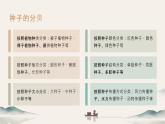 [皖教版]三年级上册综合实践活动第2课植物的种子教学课件