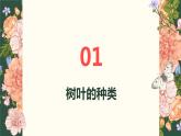[皖教版]三年级上册综合实践活动1.神奇的树叶教学课件
