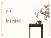 [皖教版]三年级上册综合实践活动2.植物的种子教学课件