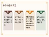[皖教版]三年级上册综合实践活动2.植物的种子教学课件