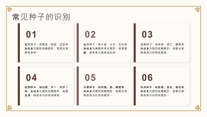 [皖教版]三年级上册综合实践活动2.植物的种子教学课件第6页