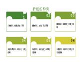 [皖教版]三年级上册综合实践活动5.有趣的折纸教学课件