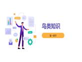[皖教版]三年级下册综合实践活动1.与鸟交朋友教学课件