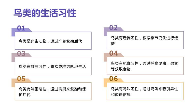 [皖教版]三年级下册综合实践活动1.与鸟交朋友教学课件第5页