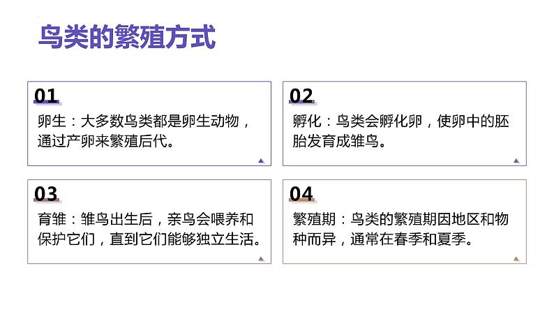 [皖教版]三年级下册综合实践活动1.与鸟交朋友教学课件第6页