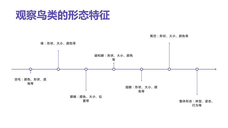 [皖教版]三年级下册综合实践活动1.与鸟交朋友教学课件第8页