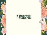 [皖教版]三年级下册综合实践活动2.识蚕养蚕教学课件